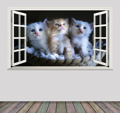 Kätzchen Katzen Magie Fenster Wandbild Selbstklebend Aufkleber Abziehbild Poster Druck