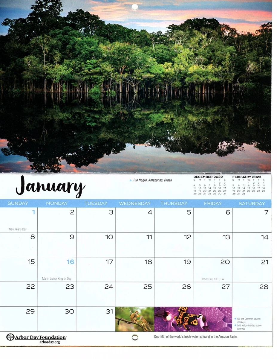 2023 Arbor Day Foundation Rain Forest Rescue 8.5" x 10.5" Wall  Calendar | eBay