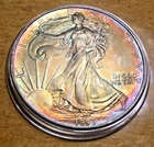 1993 $1 American Silver Eagle Business Toned Mint Issue Strike in Treasury Box
