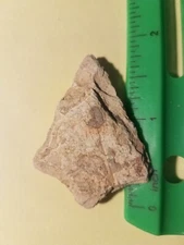 AUTHENTIC NATIVE AMERICAN INDIAN ARTIFACT FOUND IN EASTERN N. C. ...I-51