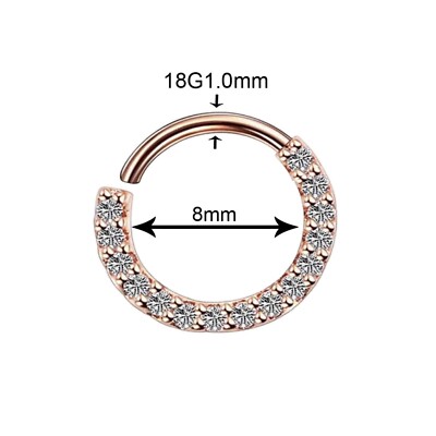Diamday 2pcs Piercing Naso Anello 316L Acciaio Chirurgico Naso Cerchio Septum Nostril Piercing 16G 18G 20G Orecchini Naso Oro Piercing Helix Orecchini Cerchio Trago Conch Daith Rook Orecchini 6mm 8mm - 11