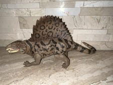 Jurassic Realistic Dimetrodon Dinosaur 8 inch Long Figure For Kids GIFT Toy