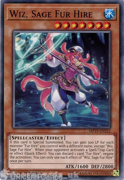 MP19-EN252 Wiz, Sage Fur Hire Common 1st Edition Mint YuGiOh Card