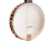 Gold Tone CEB-5 5-String Cello Banjo