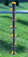 Sk Tornado Collapsible Finch Feeder