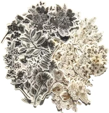 Vintage Zen Botany Flower Washi Sticker Pack, Artsy Natural Black-And-White Plan