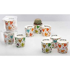 VASETTO PORTAPIANTE CERAMICA BOMBONIERE PIANTE GRASSE COMUNIONE