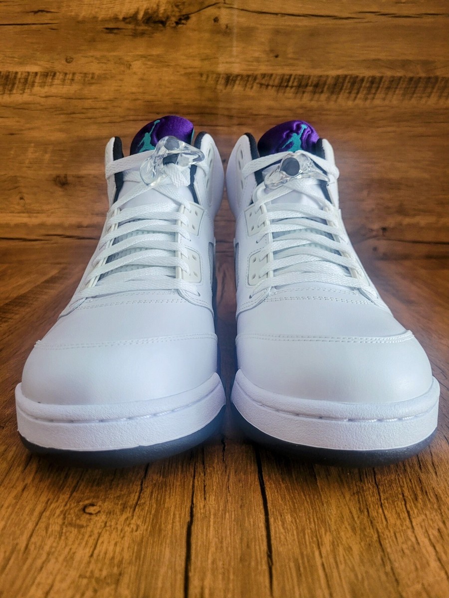 Nike Air Jordan 5 Retro Grape 2013 136027 108 Men display picture 2