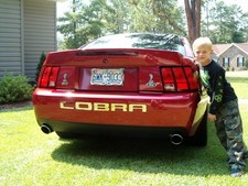 Cobra Stainless Steel Inserts Letters 2003-2004 Cobra Stainless Steel Inserts Letters 2003-2004