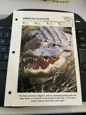 AMERICAN ALLIGATOR CARD 2 Wild Life Fact File Animal Card Home School Insert