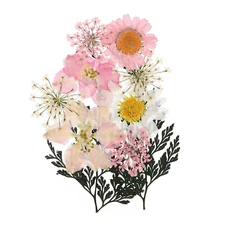 Dried Pressed Flowers Real Pressed Flowers Dry Leaves for DIY Crafts Pink