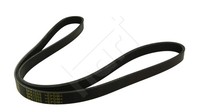 Keilrippenriemen FüR Opel Zafira A F75_ 1.8 16V 1.6 CNG Astra G CC F48_ F08_