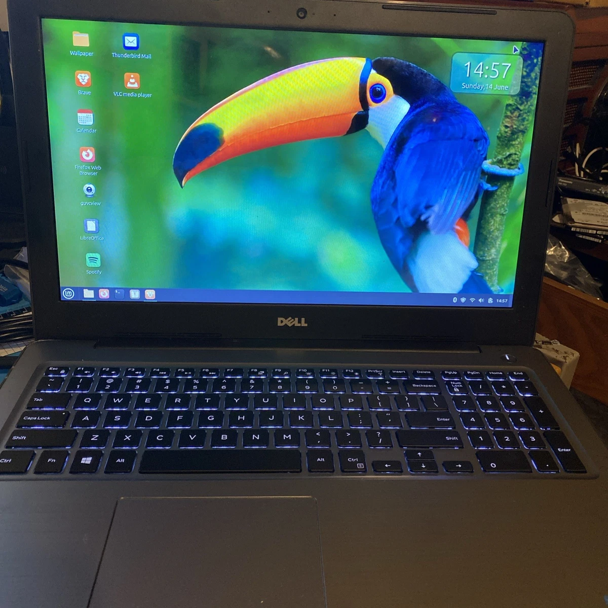 Dell Inspiron 15 5567 PC Notebooks/Laptops for Sale | Shop New