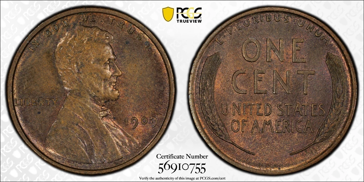 MS 63 Graded 1909 Year Lincoln Wheat US Small Cents (1909-1958