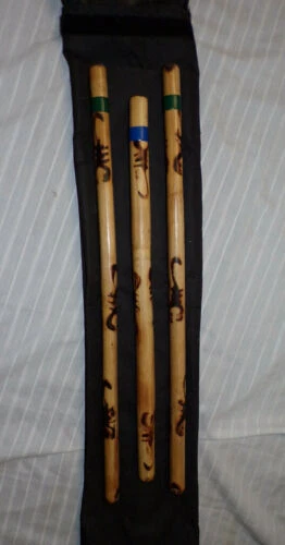 Bastones de artes marciales Revgear