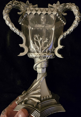 The Noble Collection Harry Potter Wizarding World Goblet Trophy Cup