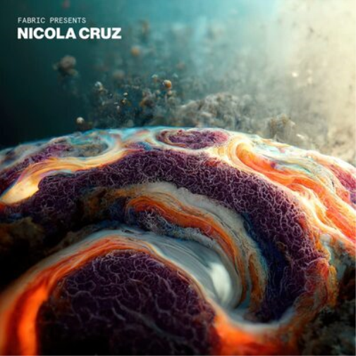 Various Artists Fabric Presents Nicola Cruz (Vinyl LP) 12" Album
