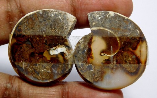 100% Natural Fossil Snail Agate Fancy Shape Cab Loose Gemstone 36x33x5mm 83.40Ct - Picture 7 of 9