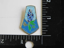 WITTE MUSEUM TRAVEL PIN