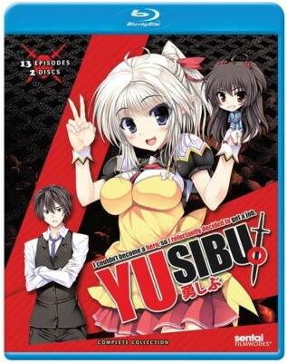 YuSibu I Couldn t Become a Hero So I Reluctantly Decided to Get a Job Anime New