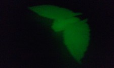 Vtg Battra Adult Hikaru 1991 3" Wingspan figure Glow Godzilla Set Bandai 1993