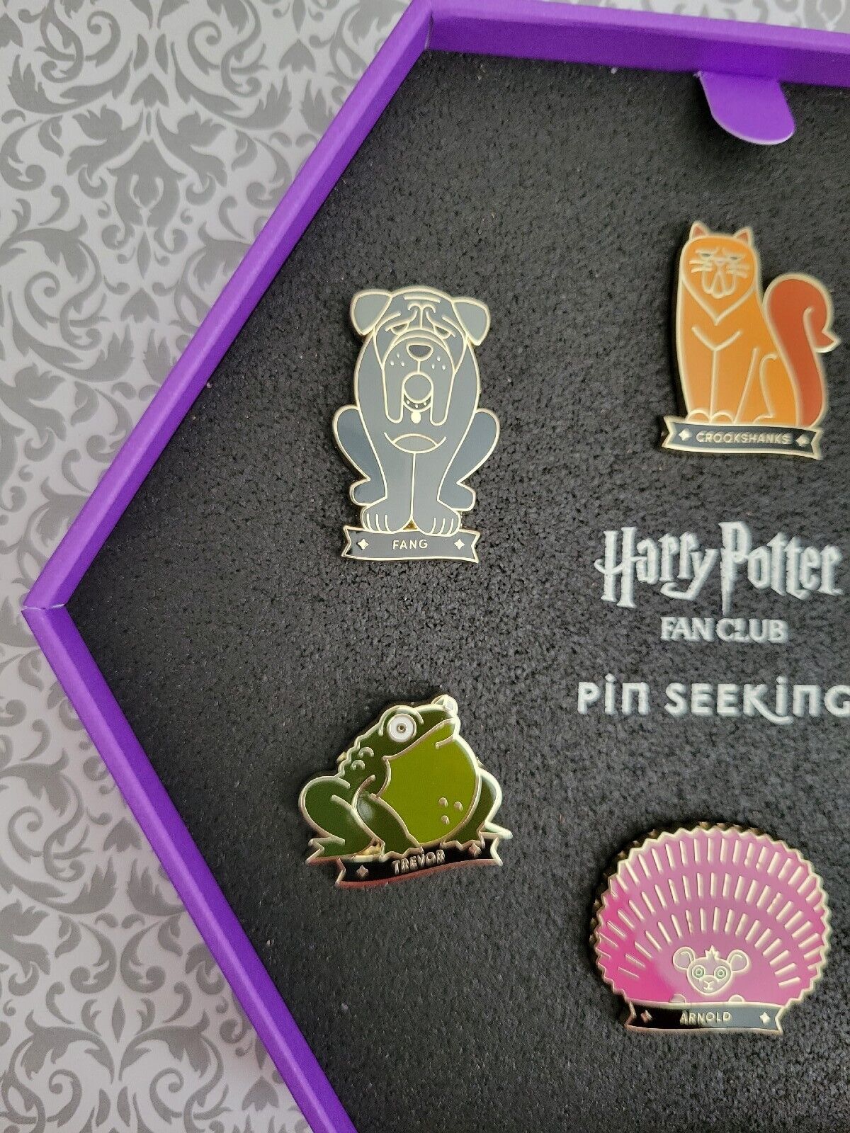 HARRY POTTER FAN CLUB PIN SEEKING UNBOXING AND REVIEW - PLATFORM 9 3/4 SHOP  HAUL 