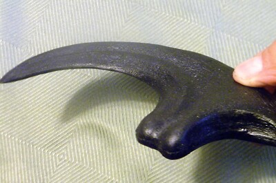 9 INCH RAPTOR CLAW REPLICA JURASSIC DINOSAUR FOSSIL NAIL