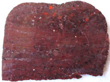 Pudding Stone Slab -  Red - 180 Grams - Arizona - Puddingstone