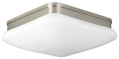 Progress Lighting P3511-09 Flush Mount Ceiling Fixture 2 Lights 11'' x 3-3/16'' H