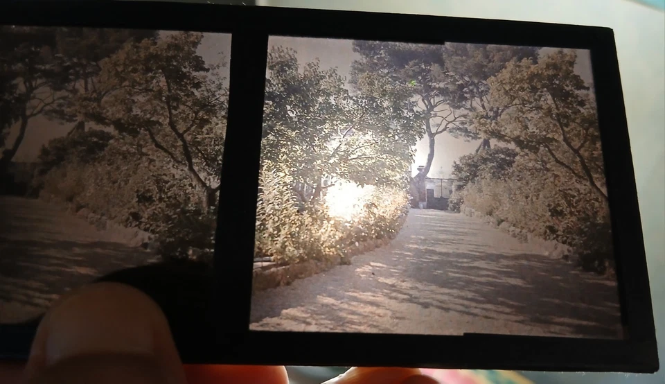 Autochrome Plaque de Verre Stéréoscopique 6x13- Une Allée Arborée en Provence. - Photo 1/1