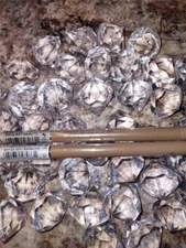 Lot Of 2 Prestige Long-Lasting BROW SHAPER PEN BPP-03 SOFT BRUNETTE Sealed