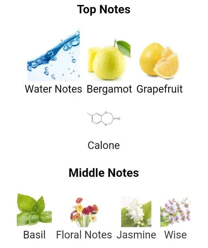 ACQUA DI GIO ESSENZA GIORGIO ARMANI 75ml EDP RARE DISCONTINUED BRAND NEW &SEALED - image 4 of 4