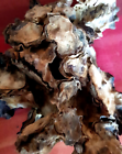 Bild 9 von 11