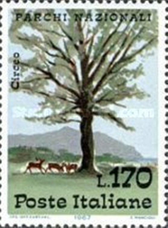 Picture 12 of 35