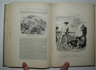 Foto 7 di 10