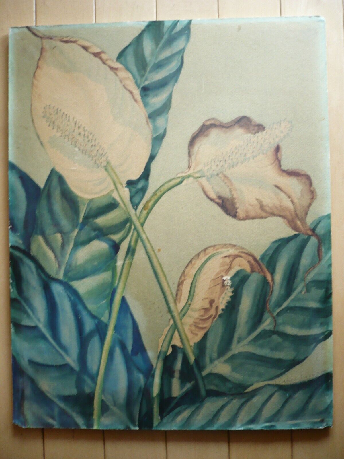 Picture 1 of 10