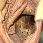 Picture 12 of 13