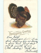 Pre-1907 thanksgiving SIDE VIEW OF TURKEY : make an offer o3375