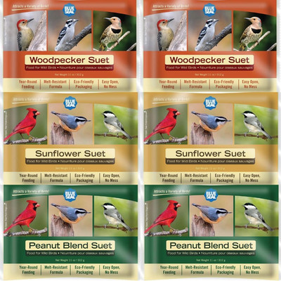 Blue Seal Nut Feast Suet Cakes for Wild Birds
