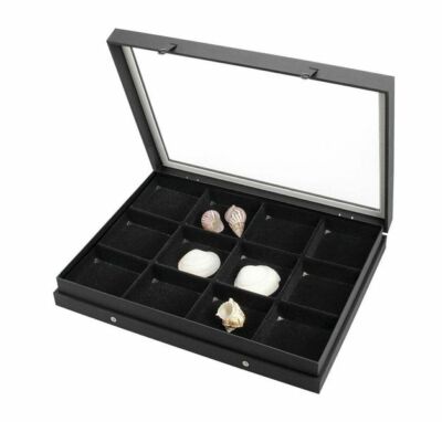 SAFE 5675 Vitrine Black-Edition mit 12 Fächern