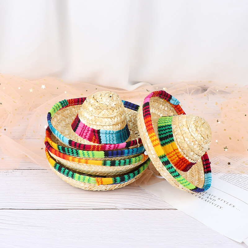 cat sun hat