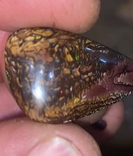 Vibrant Colour * 32.6cts Natural Australian Solid Koroit Boulder Opal * Video