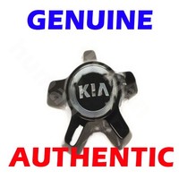 OEM Radnabe Nabenkappe FüR 2014-2016 KIA Cadenza 529603T000