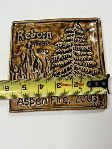 Aspen Fire Mount Lemmon Arizona Remembrance Pottery Tile Wildfire Forest Fire - Picture 3 of 5