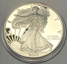 2005 W American Silver Eagle Proof - 1 OZ Fine Silver
