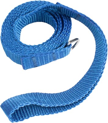 Dog Flat Slip Lead, Pet Supplies, Puppy Leash, One Size, 0.5in x 4.5ft