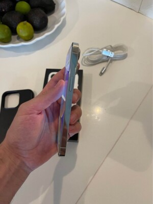 Apple iPhone 13 Pro シルバー 256gb 61TDqdjGSgL._UF1000,1000_QL80_.jpg