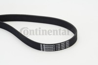 7PK1687 Continental Ctam Riemen Poly-V FüR , Lexus, Mercedes-Benz, Nissan, Opel,