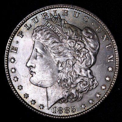 1885 Morgan Silver Dollar CHOICE BU Toned UNCIRCULATED MS E873 QHM