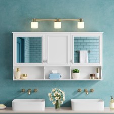 55 Inch Mirror Medicine Cabinet with Open Shelves, Wall Mounted Home Storage w